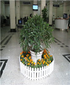 湖北植物租擺租賃 同城優(yōu)選與專業(yè)養(yǎng)護服務誠薦